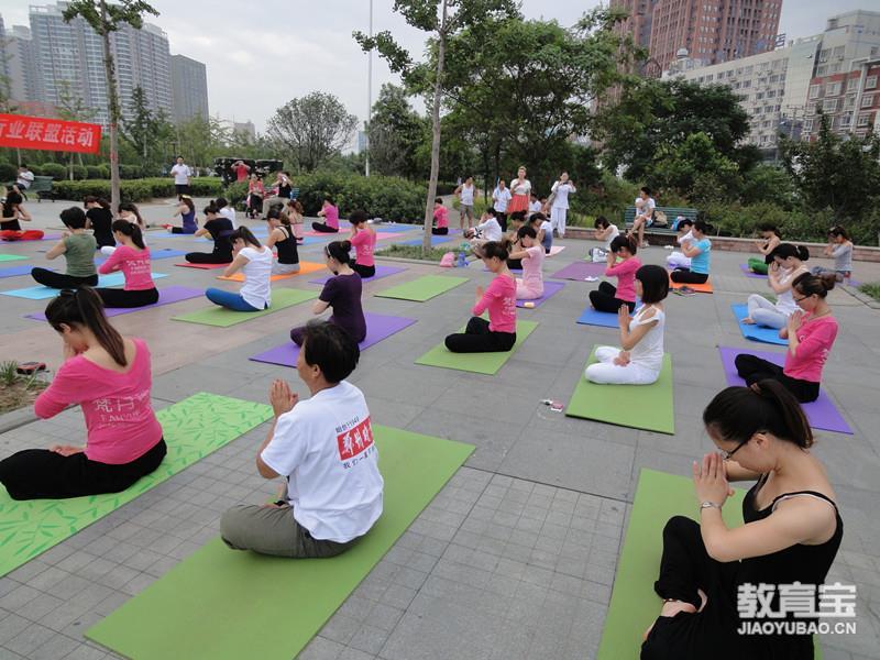 三亿体育超好学的入门瑜伽动作有哪些(图1)